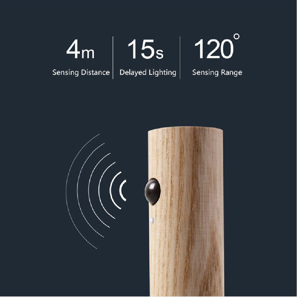 USB Rechargeable PIR Motion Sensor LED Night Light
